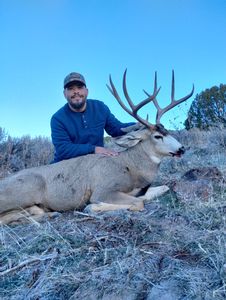 Mule Deer Hunts